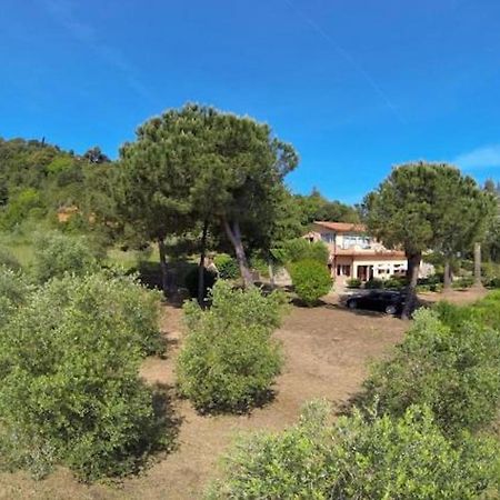 Villa Vanna Trilo -Quadrilocale Capoliveri  Extérieur photo